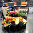 Immagine 4 azienda LIDL SCHWEIZ Textil/Bekleidung in Zurich ZH