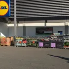 Immagine 2 azienda LIDL SCHWEIZ Textil/Bekleidung in Pratteln BL