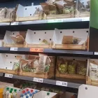 Immagine 16 azienda LIDL SCHWEIZ Textil/Bekleidung in Sursee LU