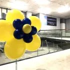 Immagine 12 azienda LIDL SCHWEIZ Textil/Bekleidung in Zurich ZH