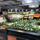 Immagine 14 azienda LIDL SCHWEIZ Textil/Bekleidung in Zurich ZH