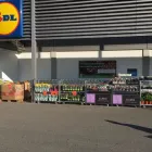 Immagine 6 azienda LIDL SCHWEIZ Textil/Bekleidung in Zwingen BL