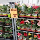 Immagine 28 azienda LIDL SCHWEIZ Textil/Bekleidung in Sursee LU