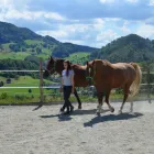 Unternehmen 1 Bild LIFE COACHING SHANIA Unternehmensberater, Organisationsberater am Basel BL