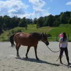 Unternehmen 3 Bild LIFE COACHING SHANIA Unternehmensberater, Organisationsberater am Basel BL