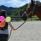 Unternehmen 5 Bild LIFE COACHING SHANIA Unternehmensberater, Organisationsberater am Basel BL