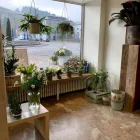 Immagine 8 azienda LINDER BLATT + BLÜTE Garten/Pflanzen in Gränichen AG