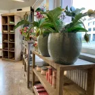 Immagine 10 azienda LINDER BLATT + BLÜTE Garten/Pflanzen in Gränichen AG