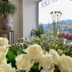 Immagine 2 azienda LINDER BLATT + BLÜTE Garten/Pflanzen in Gränichen AG