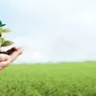 Immagine 2 azienda LLOYD'S ASSICURATORI LONDRA ASSICURAZIONI PAGNAMENTA INSURANCE BROKER SA Versicherungswesen in Lugano TI