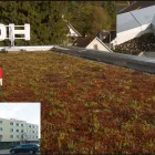 Unternehmen 3 Bild LÜTOLF DACH UND WAND AG Zimmerarbeiten, Holzbauarbeiten am Villmergen AG