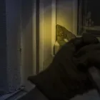 Immagine 1 azienda MAACK AG Zimmerarbeiten, Holzbauarbeiten in Lenzburg AG