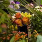 Unternehmen 2 Bild MAARSEN BLUMENGESCHÄFT Garten/Pflanzen am Bern BE