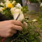 Unternehmen 1 Bild MAARSEN BLUMENGESCHÄFT Garten/Pflanzen am Bern BE