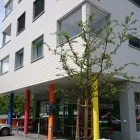 Entreprises 15 image MALER SCHIBIG AG Putzarbeiten, Stuckarbeiten dans Neuägeri ZG