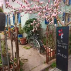 Immagine 3 azienda MARIA BÜHLER WEINHANDLUNG Weinkellereien in Zurich ZH