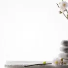 Entreprises 4 image MASSAGE ZURICH Massageinstitute dans Zurich ZH