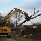 Entreprises 5 image MEYER AG TEUFENTHAL Land-/Forstwirtschaft/Fischerei dans Teufenthal AG