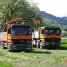 Immagine 1 azienda MM MANNHART AG Transport/Verkehr/Tourismus in Flums SG