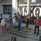 Immagine 1 azienda MUSIKSCHULE ZÜRCHER OBERLAND Musikschulen, Gesangsschulen in Wetzikon Zh ZH