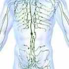 Immagine 4 azienda NATURHEILRAUM - PRAXIS FÜR NATURHEILKUNDE Ärzte in Zurich ZH