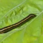 Immagine 1 azienda NATURHEILRAUM - PRAXIS FÜR NATURHEILKUNDE Ärzte in Zurich ZH