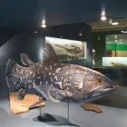 Entreprises 9 image NATURHISTORISCHES MUSEUM BERN Veranstaltungen/Messen dans Bern BE