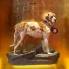 Entreprises 10 image NATURHISTORISCHES MUSEUM BERN Veranstaltungen/Messen dans Bern BE