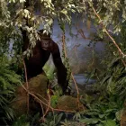 Entreprises 3 image NATURHISTORISCHES MUSEUM BERN Veranstaltungen/Messen dans Bern BE