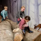 Entreprises 4 image NATURHISTORISCHES MUSEUM BERN Veranstaltungen/Messen dans Bern BE