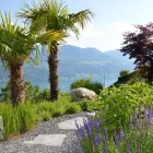 Entreprises 1 image NIDEROEST GÄRTNER AG Land-/Forstwirtschaft/Fischerei dans Brunnen SZ