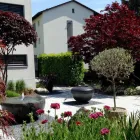 Entreprises 3 image NIDEROEST GÄRTNER AG Land-/Forstwirtschaft/Fischerei dans Brunnen SZ