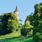 Entreprises 6 image NIEDERBERGER GÄRTNEREI AG Land-/Forstwirtschaft/Fischerei dans Kriens LU