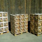 Immagine 1 azienda NORDPACK AG Dienstleistungen, Sonstige in Muhen AG