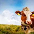 Immagine 6 azienda NOTARIAT DR. RETO ERDIN Soziale Einrichtungen/Fürsorge in Wohlen Ag AG