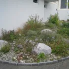 Immagine 3 azienda NÜBLING AG GARTENBAU UND LANDSCHAFTSARCHITEKTUR Land-/Forstwirtschaft/Fischerei in Villmergen AG