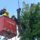 Unternehmen 3 Bild ORANGERIE Wohnungsmarkt am Genève GE
