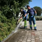 Immagine 4 azienda OTTO ROHRUNTERHALT GMBH Kundendienste für Heizungs- und Sanitärtechnik in Zürich ZH