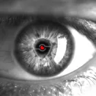 Unternehmen 2 Bild OWS SECURITY GMBH Sicherheitsfirmen am Port BE