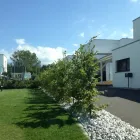 Unternehmen 3 Bild PAYSAGES & JARDINS MOREL SÀRL Land-/Forstwirtschaft/Fischerei am Hauteville FR