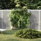 Immagine 13 azienda PERCO PERGOLA ET COMPAGNIE CRITTIN Bauunternehmen in Martigny VS