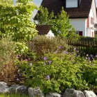 Entreprises 4 image PETER MEIER GARTENBAU AG Land-/Forstwirtschaft/Fischerei dans Jona SG