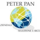 Unternehmen 1 Bild PETER PAN CONSULENZA AZIENDALE Wirtschaftsprüfer am Lugano TI