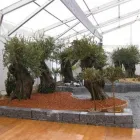 Entreprises 3 image PFLANZEN UND GARTENPFLEGE Land-/Forstwirtschaft/Fischerei dans Unterlunkhofen AG
