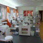 Immagine 6 azienda PODOFIT PRAXIS & FACHSCHULE Seminare, Seminarveranstalter in Rapperswil SG