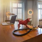 Entreprises 6 image PRAXIS DR. HUERTGEN | REGENERATIVE UND VITALISIERENDE BEHANDLUNGSKONZEPTE Ärzte dans Basel BL