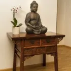 Immagine 2 azienda PRAXIS FÜR CHINESISCHE MEDIZIN TCM IM WYDEHOF TATJANA SCHWARZ Ärzte in Breitenbach SO