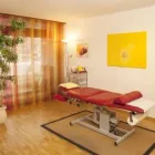 Immagine 3 azienda PRAXIS FÜR CHINESISCHE MEDIZIN TCM IM WYDEHOF TATJANA SCHWARZ Ärzte in Breitenbach SO