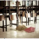 Immagine 7 azienda PREVIDEXER FIERAMOSCA Entsorgung, Verwertung, Beseitigung, Reinigung in Spreitenbach AG