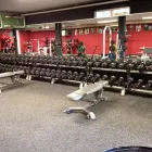 Immagine 2 azienda PRO-FITNESS Sport in Lenzburg AG